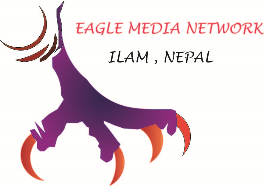 Eagle media network logo